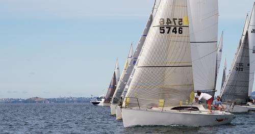 Start line 2013 Harken Young 88 Nationals Photo: Paul Stubbs &copy; SW